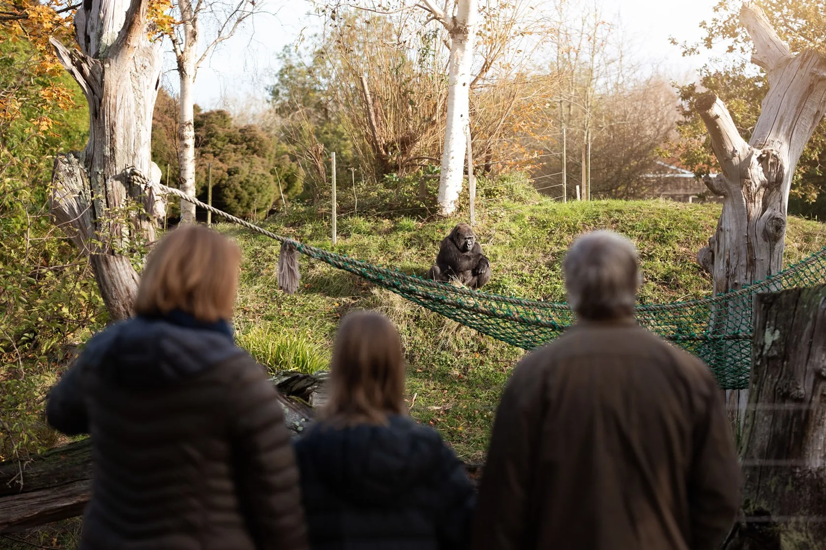 Animal in zoo